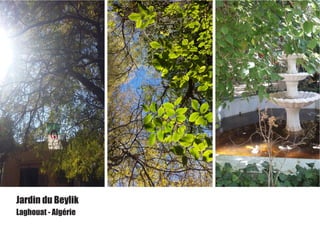 Jardin du Beylik
Laghouat - Algérie
 