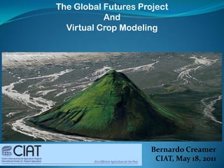 The Global Futures Project  And Virtual Crop Modeling http://www.yannarthusbertrand2.org/ Bernardo Creamer CIAT, May 18, 2011 