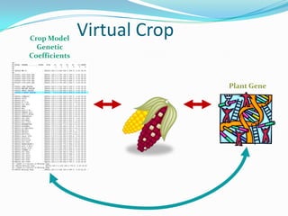 Presentation globalfuturesvcm