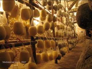 Mediaterrae vol.1 - 2007
 