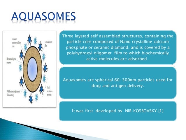 Synthesis aquasomes compositions 04 image