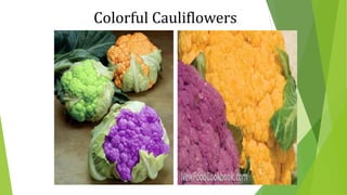 Colorful Cauliflowers
 