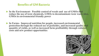 Benefits of GM Bacteria
 In the Environment- Possible control of weeds and use of GMOs that
reduce the use of toxic chemicals, GMOs to decontaminate toxic waste sites,
GMOs in environmental friendly power
 In Farms- Improved nutrition for people, increased environmental
protection through the reduced use of pesticides, and increased quality and
quantity of yields, as well as increased farm profitability through reduced
costs and new product opportunities
 