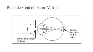 Pupil size and effect on Vision.
 