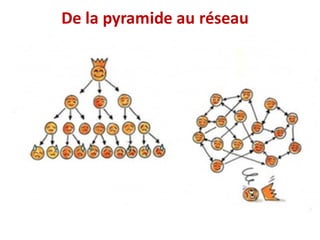 De	la	pyramide	au	réseau
 