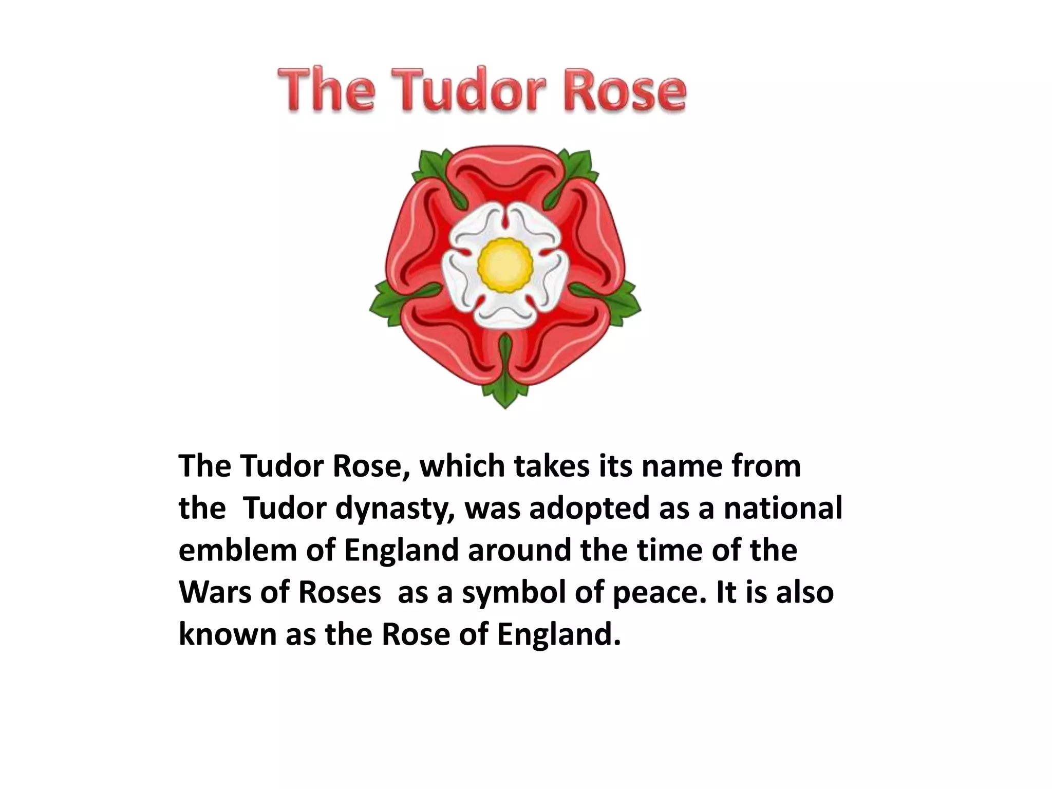 The Tudor Rose, which takes its name from 
the Tudor dynasty, was adopted as a national 
emblem of England around the time of the 
Wars of Roses as a symbol of peace. It is also 
known as the Rose of England. 
 