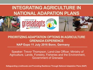 PRIORITIZING ADAPTATION OPTIONS IN AGRICULTURE
GRENADA EXPERIENCE
Speaker: Trevor Thompson, Land-Use Officer, Ministry of
Agriculture, Lands, Forestry, Fisheries and the Environment,
Government of Grenada
INTEGRATING AGRICULTURE IN
NATIONAL ADAPATION PLANS
NAP Expo 11 July 2016 Bonn, Germany
Safeguarding Livelihoods and Promoting Resilience Through National Adaptation Plans (NAP)
 