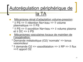 21
Autorégulation périphérique de
la TA
 Mécanisme rénal d’adaptation volume-pression:
* ⇓ PS => ⇑ rétention Na+/eau => ⇑ volume
plasmatique => ⇑ PS
* ⇑ PS => ⇑ excrétion Na+/eau => ⇓ volume plasma
et ⇓ DC => ⇓ PS
 Mécanismes vasculaires locaux de maintien de
l’oxygénation:
* Demande métabolique (O2) ‘normale’ => tonus
vasomoteur
* ⇑ demande O2 => vasodilatation => ⇓ RP => ⇑ flux
=>⇑ apport O2
 