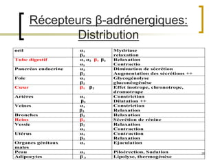 26
Récepteurs β-adrénergiques:
Distribution
oeil α1
β2
Mydriase
relaxation
Tube digestif α1 α2 β1 β2
α1
Relaxation
Contractio
Pancréas endocrine α2
β2
Diminution de sécrétion
Augmentation des sécrétions ++
Foie α1
β2
Glycogénolyse
gluconéogénèse
Cœur β1 β2 Effet inotrope, chronotrope,
dromotrope
Artères α1
β2
Constriction
Dilatation ++
Veines α1
β2
Constriction
Relaxation
Bronches β2 Relaxation
Reins β1 Sécrétion de rénine
Vessie β2
α1
Relaxation
Contraction
Utérus α1
β2
Contraction
Relaxation
Organes génitaux
males
α1 Ejaculation
Peau α1 Piloérection, Sudation
Adipocytes β 3 Lipolyse, thermogénèse
 