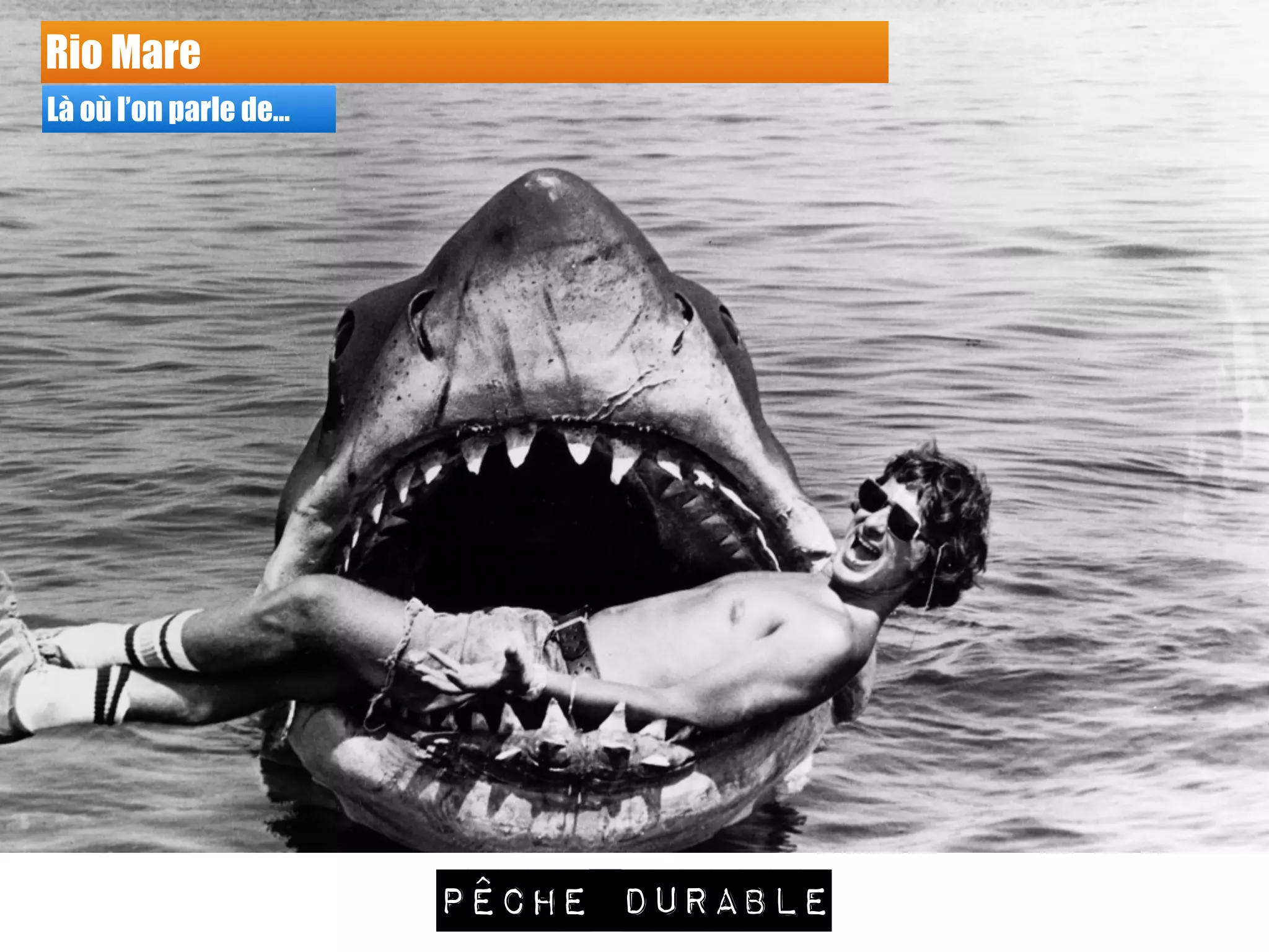 Rio Mare
Là où l’on parle de…
Pêche durable
 