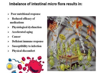 Presentation gut microbiota