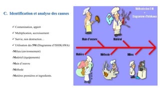 C. Identification et analyse des causes
 Contamination, apport
 Multiplication, accroissement
 Survie, non destruction…
 Utilisation des 5M (Diagramme d’ISHIKAWA):
-Milieu (environnement)
-Matériel (équipements)
-Main d’oeuvre
-Méthode
-Matières premières et ingredients.
 