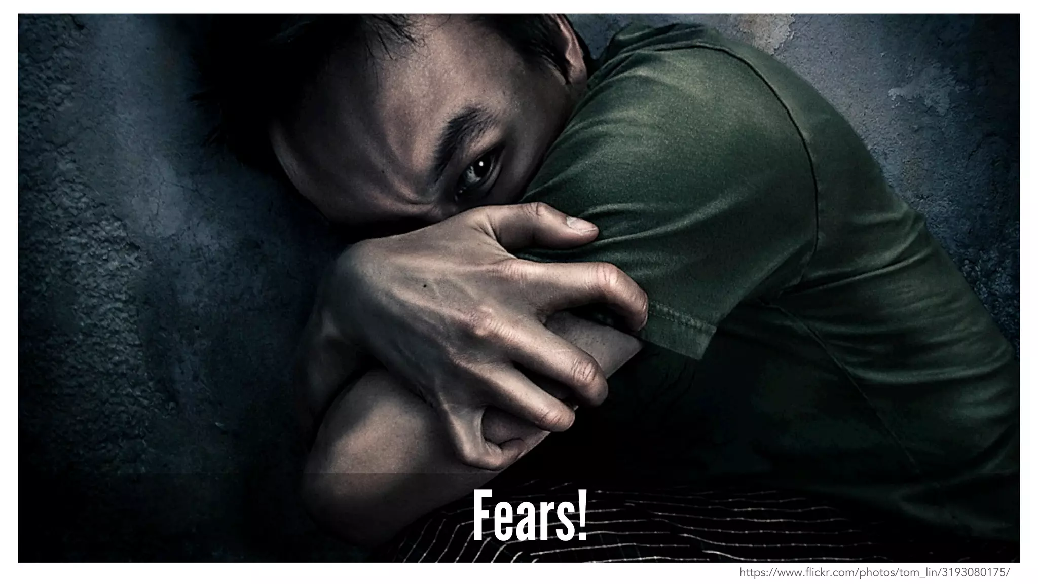 Fears!
https://www.flickr.com/photos/tom_lin/3193080175/
 