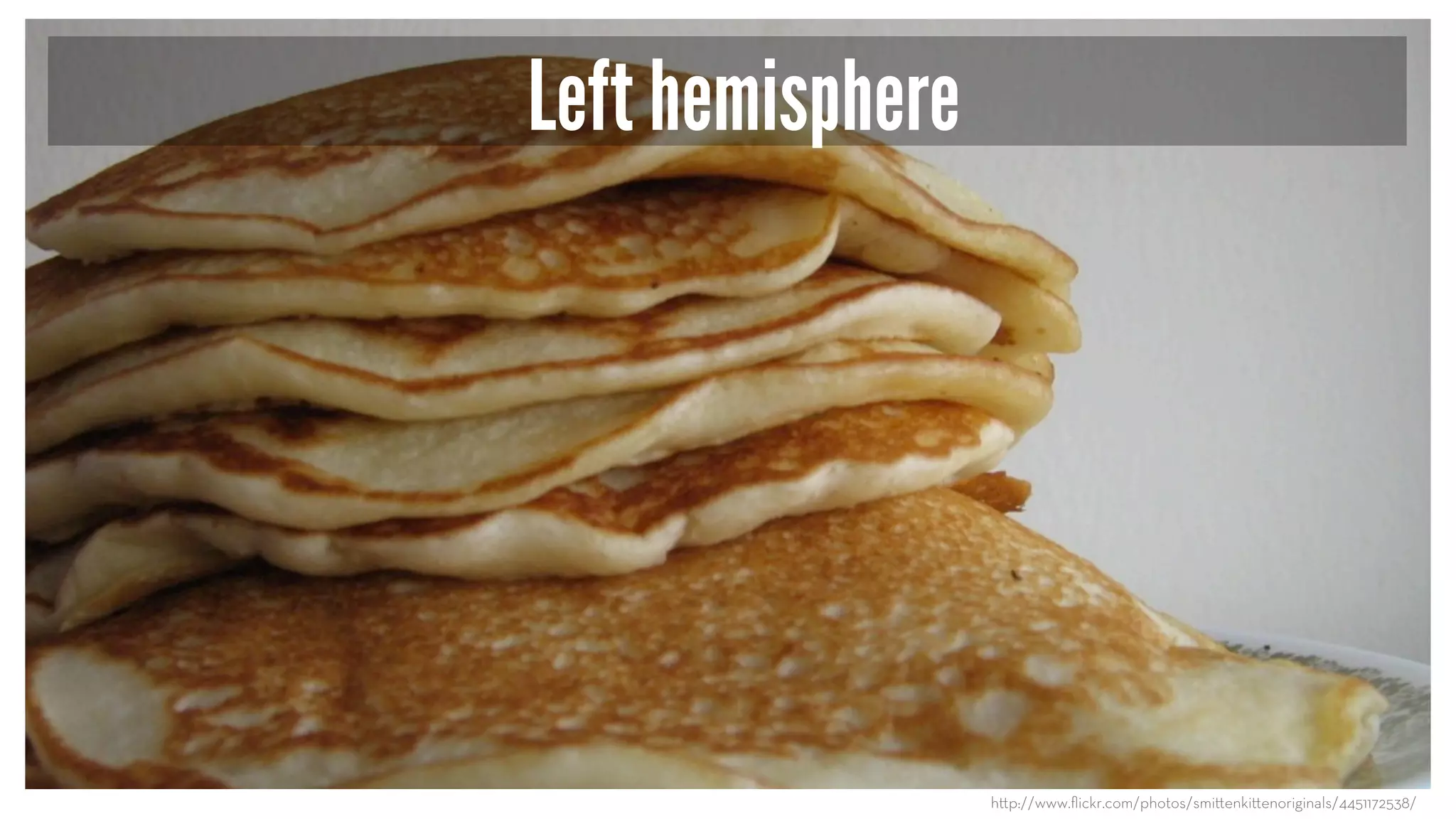 Left hemisphere
h p://www.ﬂickr.com/photos/smi enki enoriginals/4451172538/
 