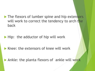  The flexors of lumber spine and hip extensors
will work to correct the tendency to arch the
back
 Hip: the adductor of hip will work
 Knee: the extensors of knee will work
 Ankle: the planta flexors of ankle will work
 