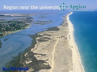 Region near the university




Ria formosa
 
