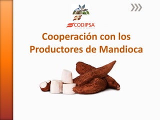 Cooperación con los
Productores de Mandioca
 