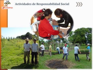 Actividades de Responsabilidad Social
 