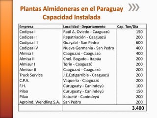 Plantas Almidoneras en el Paraguay
Capacidad Instalada
Empresa Localidad - Departamento Cap. Ton/Día
Codipsa I Raúl A. Oviedo - Caaguazú 150
Codipsa II Repatriación - Caaguazú 200
Codipsa III Guayabí - San Pedro 600
Codipsa IV Nueva Germania - San Pedro 400
Almisa I Caaguazú - Caaguazú 400
Almisa II Cnel. Bogado - Itapúa 200
Almisur I Torín - Caaguazú 200
Almisur II Caaguazú - Caaguazú 200
Truck Service J.E.Estigarribia - Caaguazú 200
C.P.A. Vaquería - Caaguazú 200
F.H. Curuguaty - Canindeyú 100
Pilao Curuguaty - Canindeyú 150
Pilao Katueté - Canindeyú 200
Agroind. Wendling S.A. San Pedro 200
3.400
 