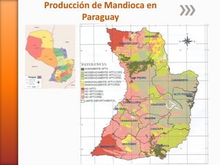 Producción de Mandioca en
Paraguay
 