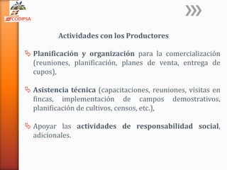 Codipsa: Liderando la exportaciónde fécula de mandioca con responsabilidad social