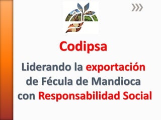 Codipsa: Liderando la exportaciónde fécula de mandioca con responsabilidad social