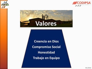 Codipsa: Liderando la exportaciónde fécula de mandioca con responsabilidad social