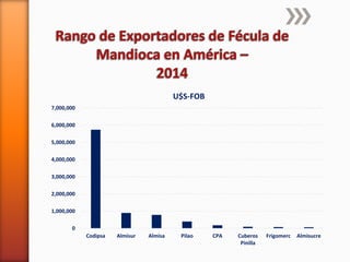 Codipsa: Liderando la exportaciónde fécula de mandioca con responsabilidad social