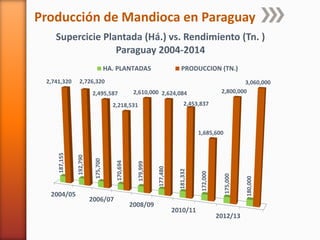 Codipsa: Liderando la exportaciónde fécula de mandioca con responsabilidad social