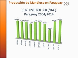 Codipsa: Liderando la exportaciónde fécula de mandioca con responsabilidad social