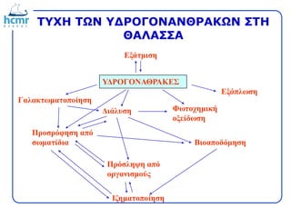 ΤΥΧΗ ΤΩΝ ΥΔΡΟΓΟΝΑΝΘΡΑΚΩΝ ΣΤΗ
ΘΑΛΑΣΣΑ
ΥΔΡΟΓΟΝΑΘΡΑΚΕΣ
Εξάτμιση
Γαλακτωματοποίηση
Εξάπλωση
Διάλυση
Προσρόφηση από
σωματίδια
Φωτοχημική
οξείδωση
Βιοαποδόμηση
Πρόσληψη από
οργανισμούς
Ιζηματοποίηση
 