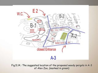Fig.5.14.: The suggested location of the proposed woody pergola in A-3
of Alex Zoo, (marked in green)
 