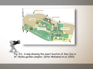 Fig. 4.6.: A map showing the exact location of Alex Zoo in
Al- Nozha garden complex (after Mohamed et.al.,2010).
 