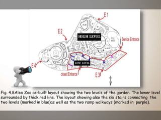 Fig. 4.8Alex Zoo as-built layout showing the two levels of the garden. The lower level
surrounded by thick red line. The layout showing also the six stairs connecting the
two levels (marked in blue)as well as the two ramp walkways (marked in purple).
 