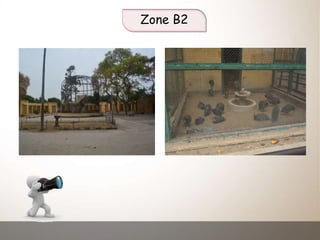 Zone B2
 