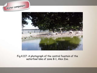 Fig.4.117: A photograph of the central fountain of the
waterfowl lake of zone B-1, Alex Zoo.
 