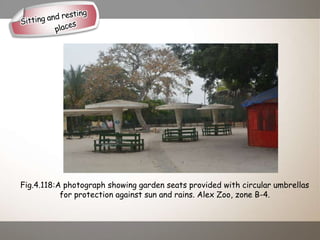 Fig.4.118:A photograph showing garden seats provided with circular umbrellas
for protection against sun and rains. Alex Zoo, zone B-4.
 