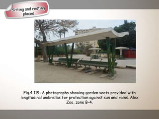 Fig.4.119: A photographs showing garden seats provided with
longitudinal umbrellas for protection against sun and rains. Alex
Zoo, zone B-4.
 