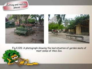 Fig.4.120: A photograph showing the bad situation of garden seats of
most zones of Alex Zoo.
 