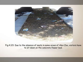 Fig.4.121: Due to the absence of seats in some areas of Alex Zoo, visitors have
to sit down on the concrete flower bed.
 
