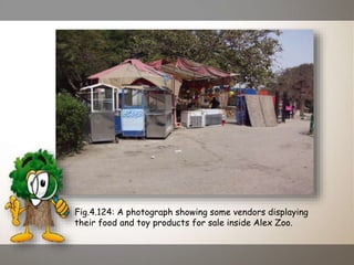 Fig.4.124: A photograph showing some vendors displaying
their food and toy products for sale inside Alex Zoo.
 