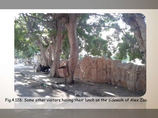 Fig.4.128: Some other visitors having their lunch on the sidewalk of Alex Zoo.
 