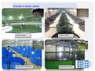 Examples of realized projects

Eel farm in Croatia

Pike Perch farm in Netherlands

Trout farm in Russia

White fish farm in Finland

 