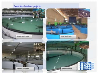Examples of realized projects

Sturgeon farm in Russia

Cobia farm in Caribbean

Catfish farm in Benin

Tilapia farm in Israel

 