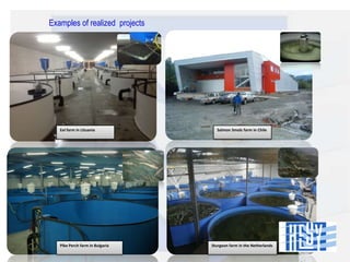 Examples of realized projects

Eel farm in Lituania

Pike Perch farm in Bulgaria

Salmon Smolz farm in Chile

Sturgeon farm in the Netherlands

 