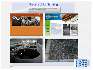 Process of fish farming
Hesy Aquaculture delivered more than 25 eel farms, with a
production range 50-1000 ton/year

Eel

 