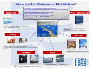 Why to establish intensive re-circulation fish farms?
Legislation

Worldwide the environment restrictions and climate change needs solutions.
R.A.S. has high production of quality fish on a relatively small area, since high density and a high growth
in the controlled environment.
Reduced risk of diseases ,monitoring control and low mortality rates
The water quality is treated to achieve the desired quality.
The effluent can be reduced to a minimum, and therefore be controlled.

Water consumption

R.A.S is the solution.

Over-fishing of waters, catch regulations or catch declining.
for R.A.S the regualtions are very clear.

In several countries water is a major problem while
there is a short of rain plus evaporation of water in
ponds and lakes,
In R.A.S the consumption of water is limited. Average
5% per day of total water volume

Quality

Climate

It might not always be possible to get all year round wild catch quality fish.
The consumer however demands all year round “quality fish”.
R.A.S you can deliver 365 days per year quality fish. Free of antibiotics with clear
”tracking label”

Polution

In some areas the optical water is wasted because of continues
pollution.
R.A.S is enviromental friendly, and water quality is under control

Land

In several countries the climate is too cold or too warm.
In R.A.S all parameters are controlled and fish is growing
in optimum conditions.

In relation to open culture; in R.A.S fish grows fast in a
relatively small area. Species can be grown outside the
natural habitat.

 
