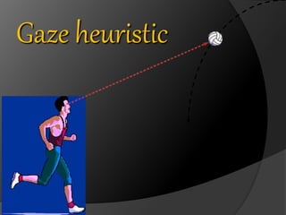 Gaze heuristic 
 