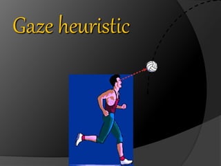 Gaze heuristic 
 