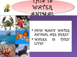 THIS IS
THIS IS
h
WATER
WATER
ANIMAL
ANIMAL
 HOW MANY WATER
ANIMAL ARE HERE?
 WHERE
IS
THEY
LIVE?

 